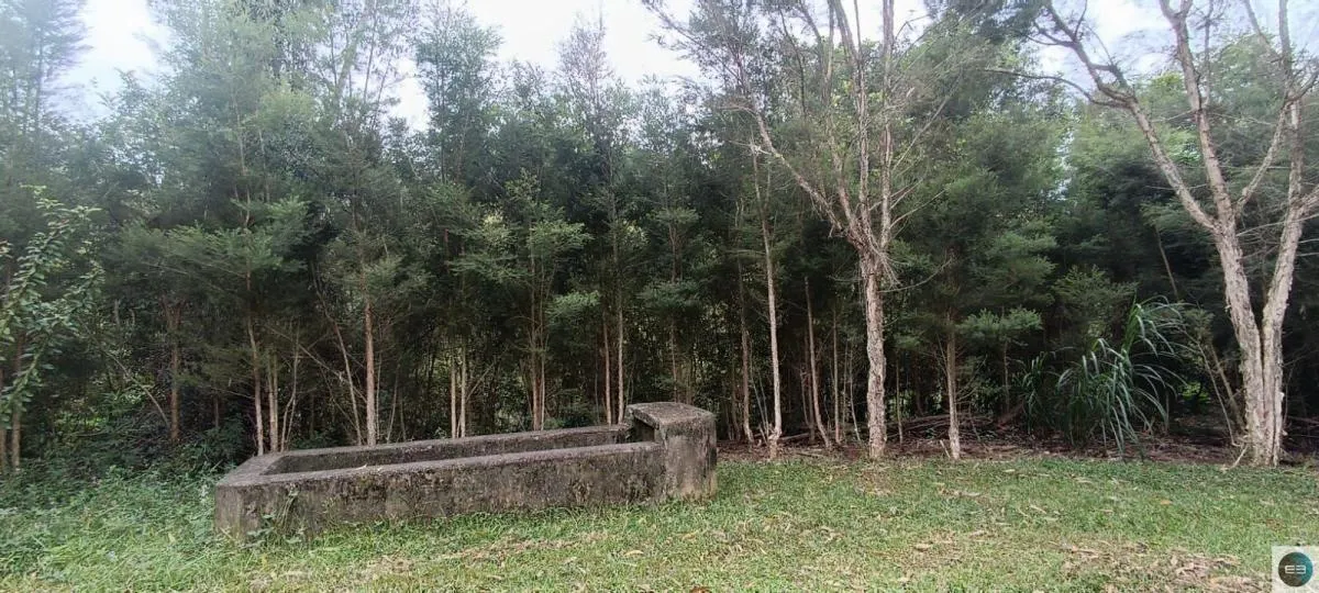 Fazenda à venda de 73 ha em Silveiras, SP, Brasil