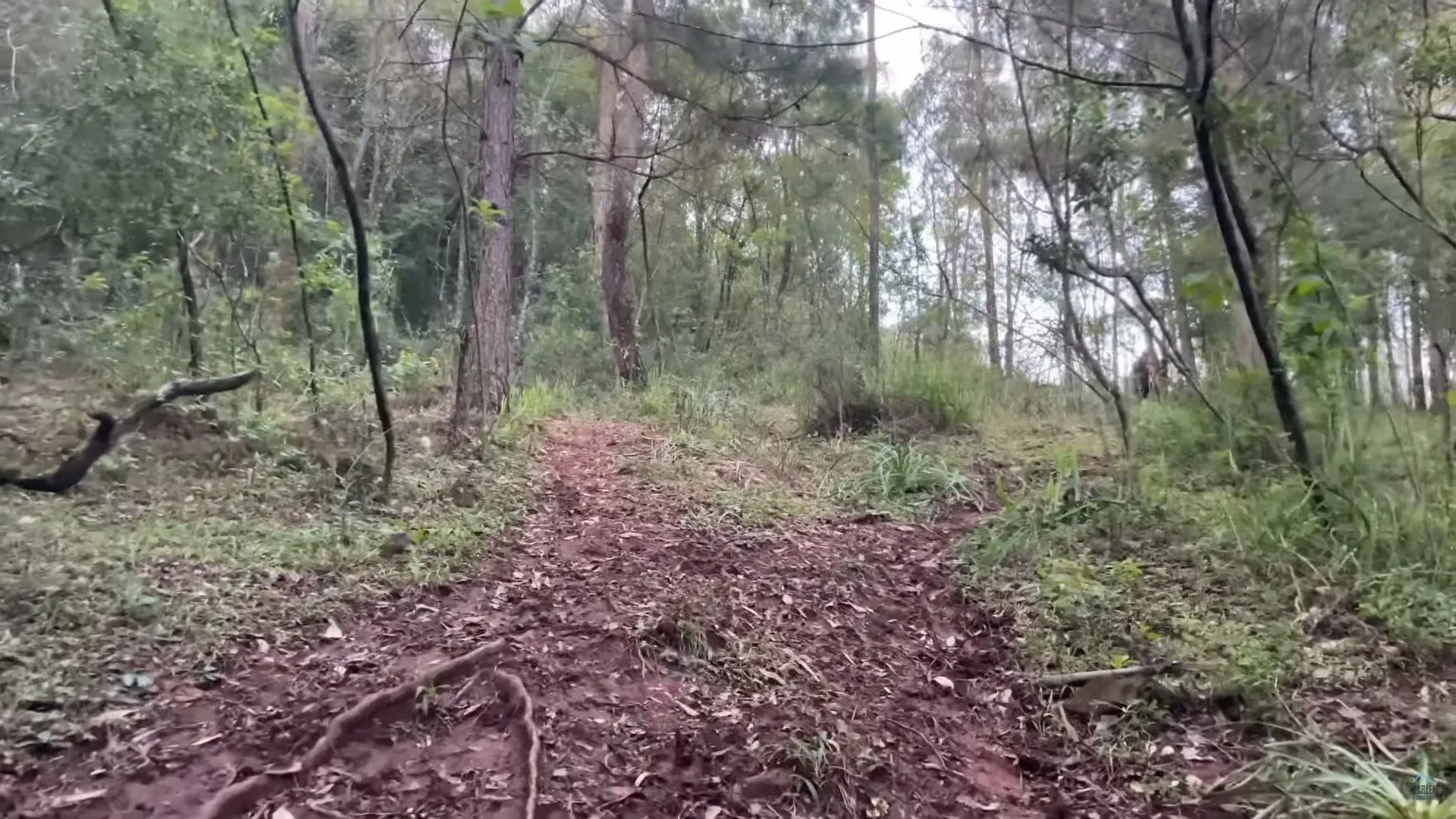 Country home for sale of 10 acres in Caraá, RS, Brazil