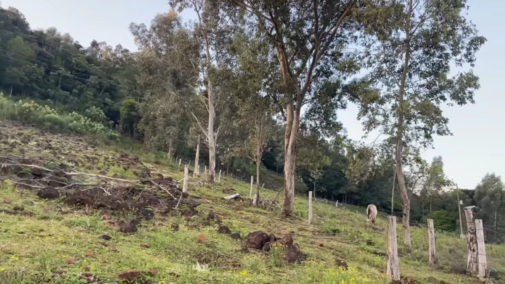 Country home for sale of 10 acres in Caraá, RS, Brazil