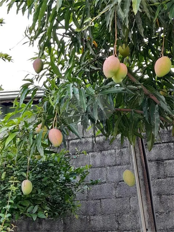 Chácara à venda de 1.242 m² em Itupeva, SP, Brasil