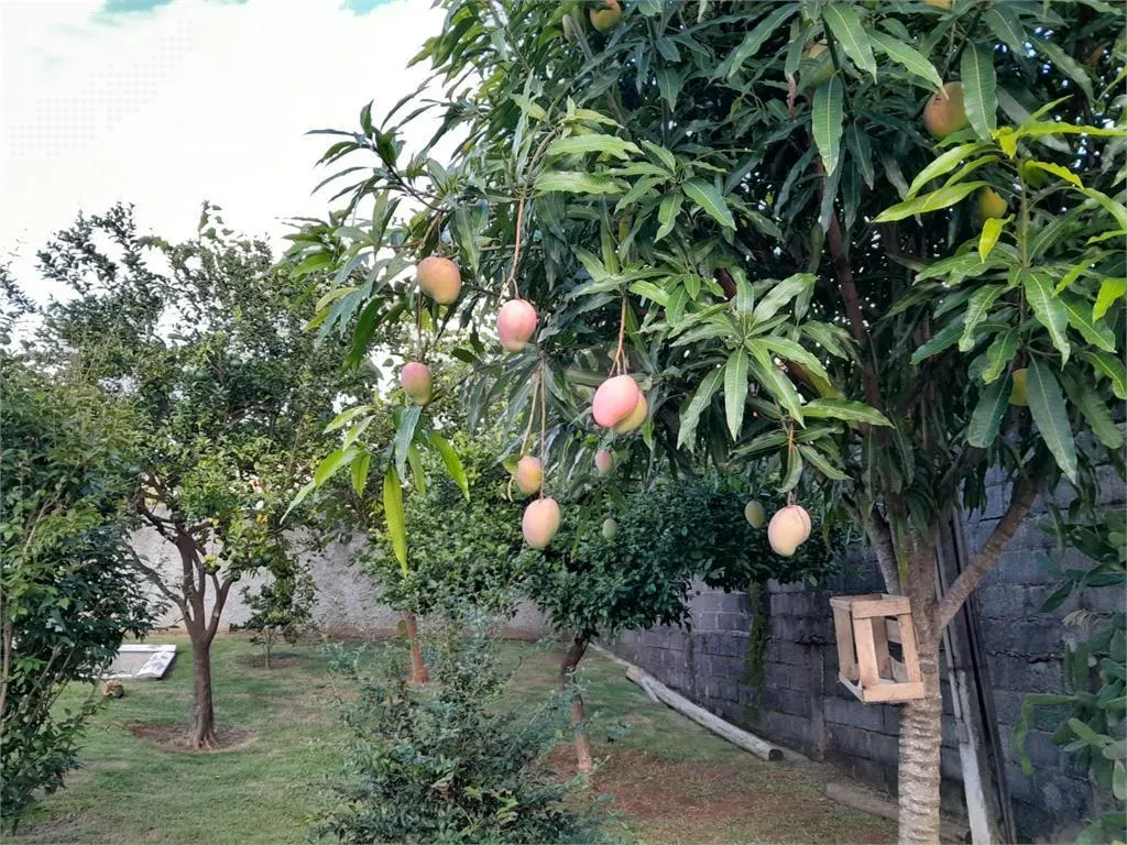 Chácara à venda de 1.242 m² em Itupeva, SP, Brasil