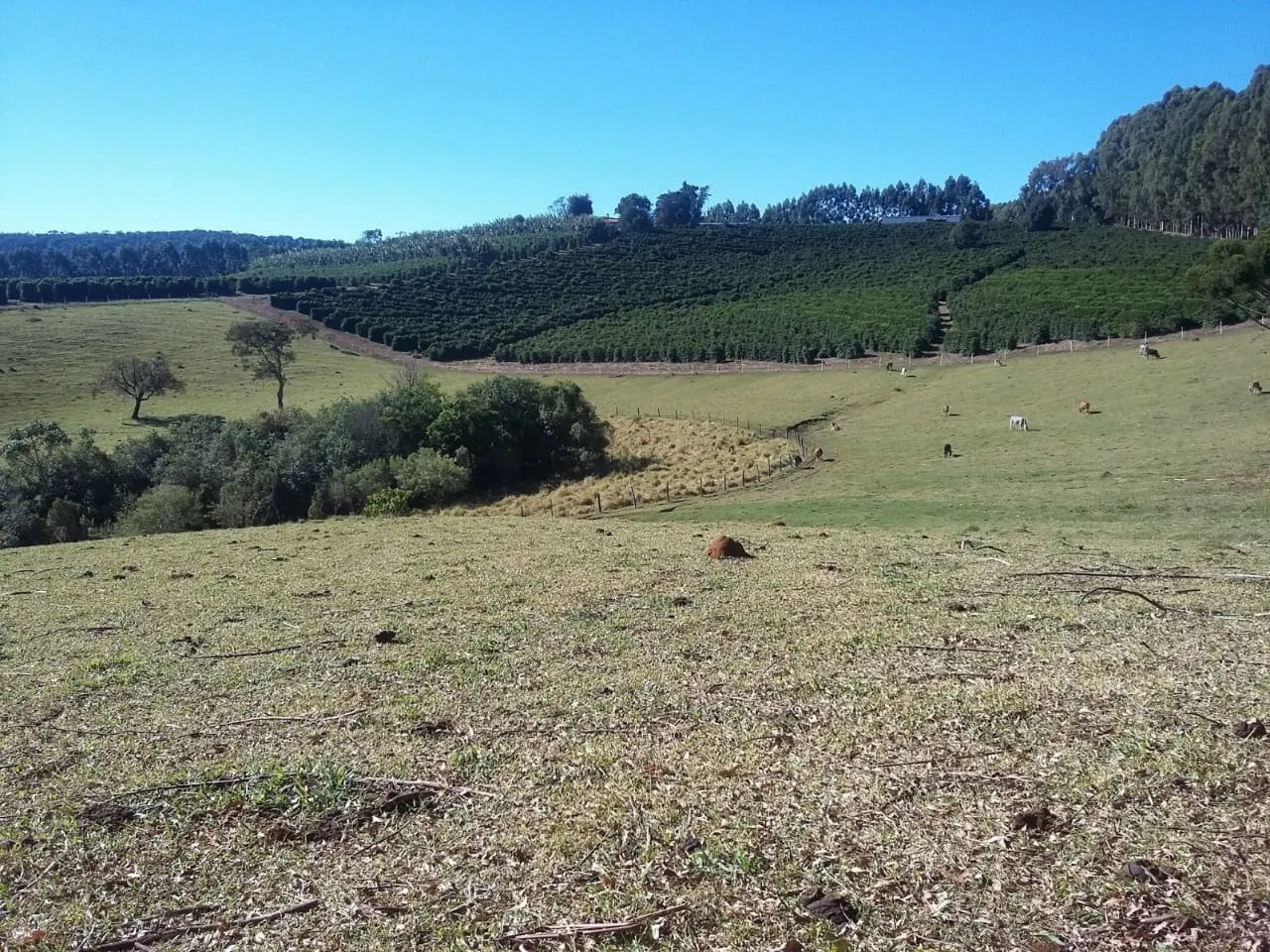 Fazenda à venda de 680 ha em Lambari, MG, Brasil