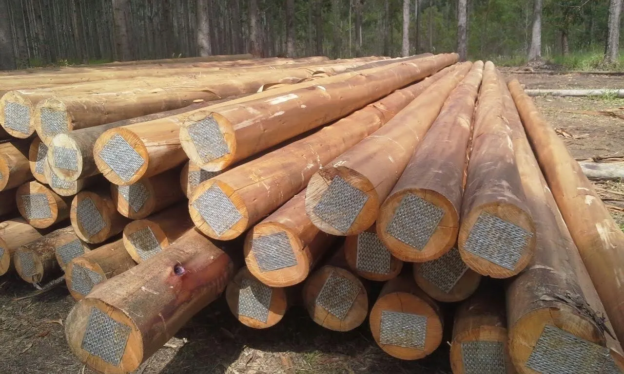 Fazenda à venda de 680 ha em Lambari, MG, Brasil
