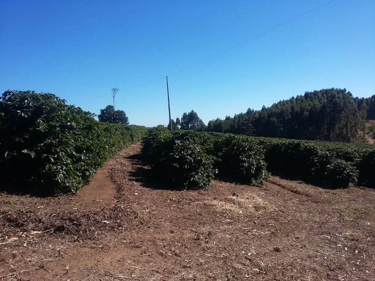 Fazenda à venda de 680 ha em Lambari, MG, Brasil