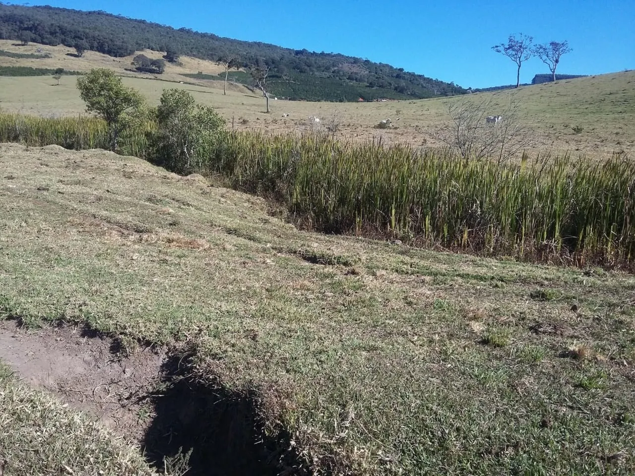 Fazenda à venda de 680 ha em Lambari, MG, Brasil