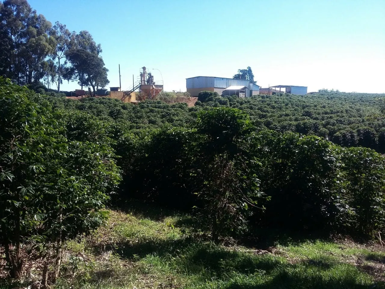 Fazenda à venda de 680 ha em Lambari, MG, Brasil