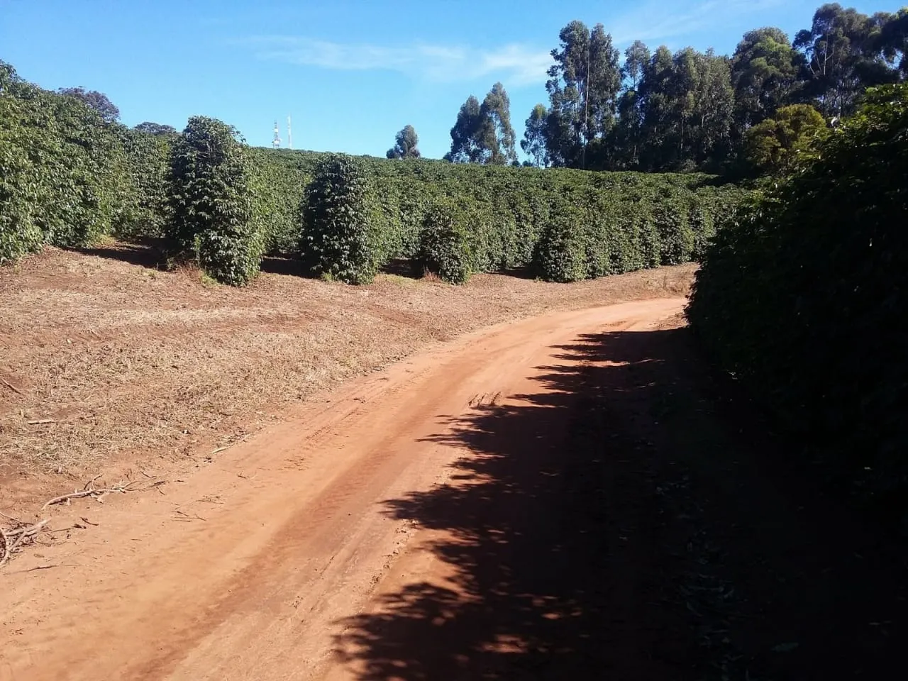 Fazenda à venda de 680 ha em Lambari, MG, Brasil