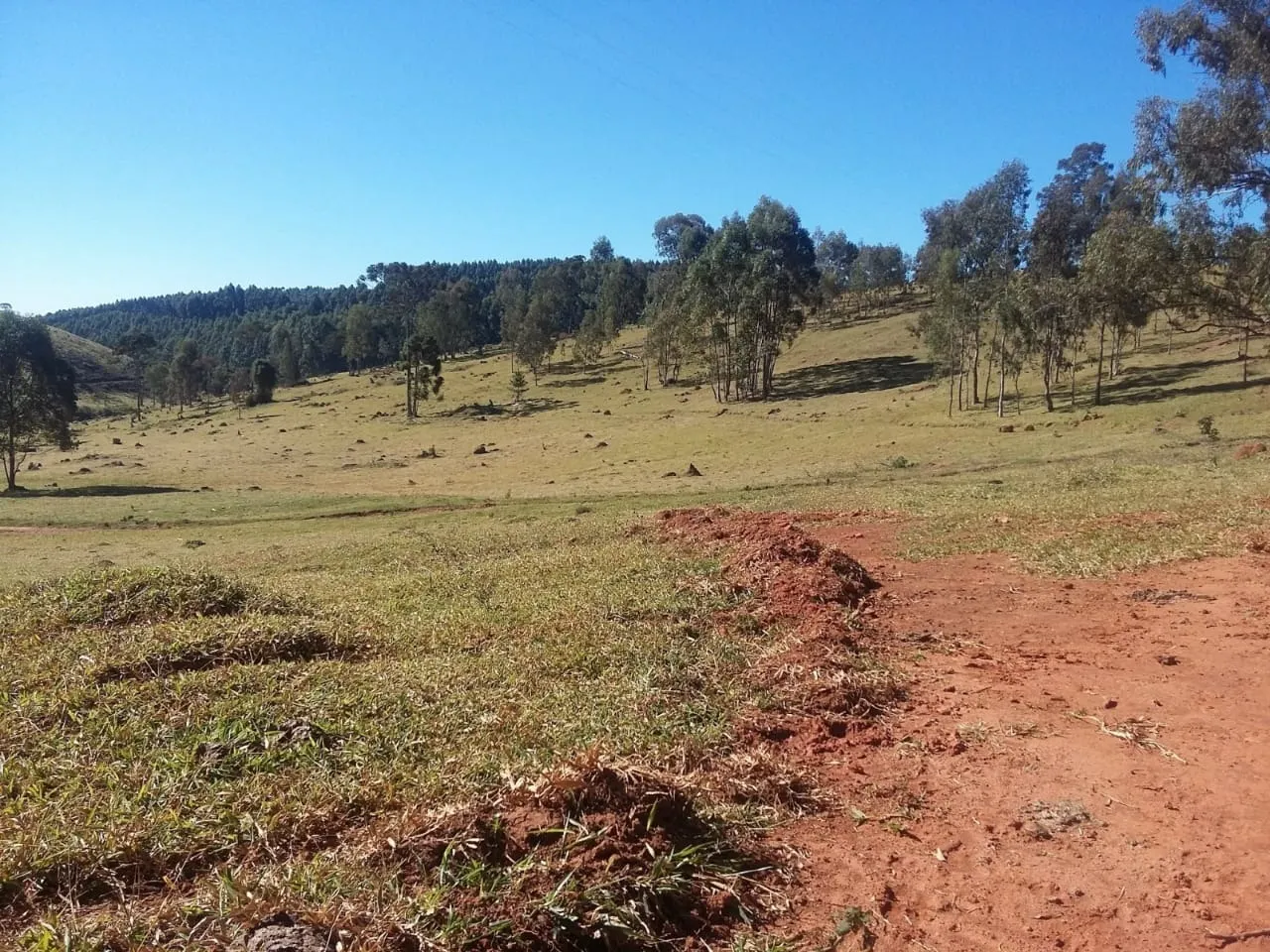Fazenda à venda de 680 ha em Lambari, MG, Brasil