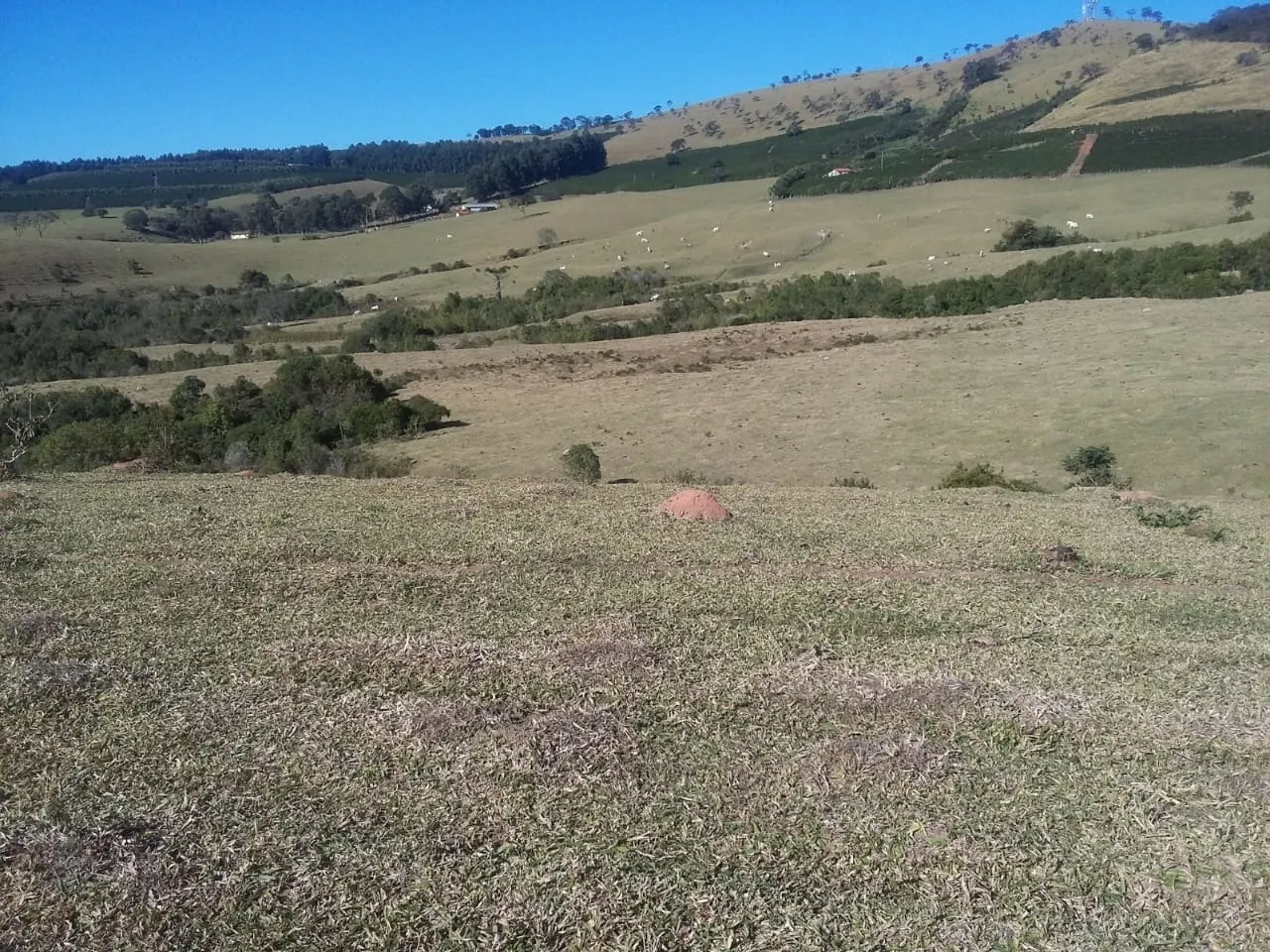 Fazenda à venda de 680 ha em Lambari, MG, Brasil