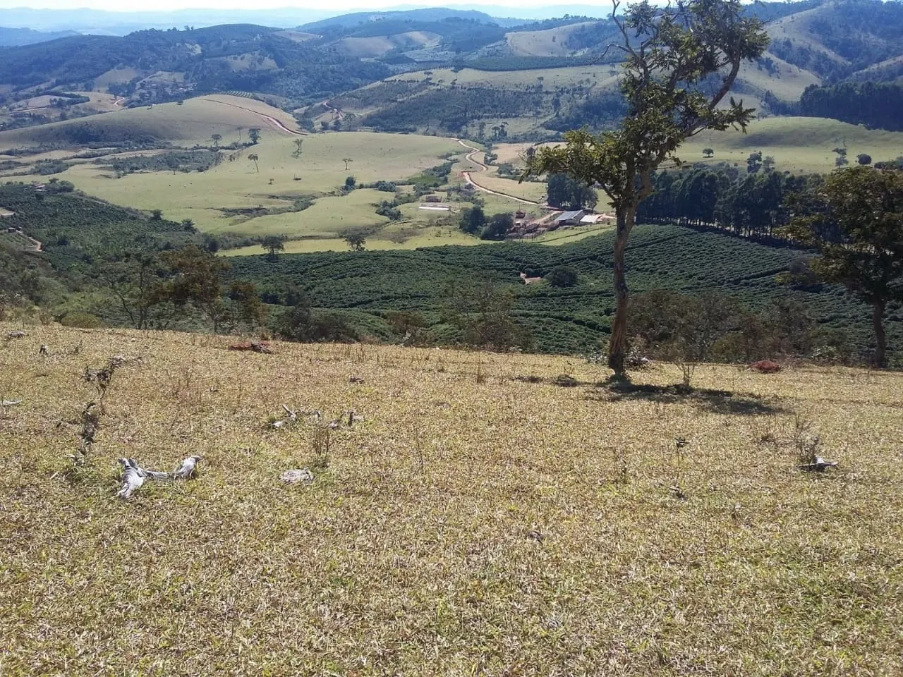 Fazenda à venda de 680 ha em Lambari, MG, Brasil