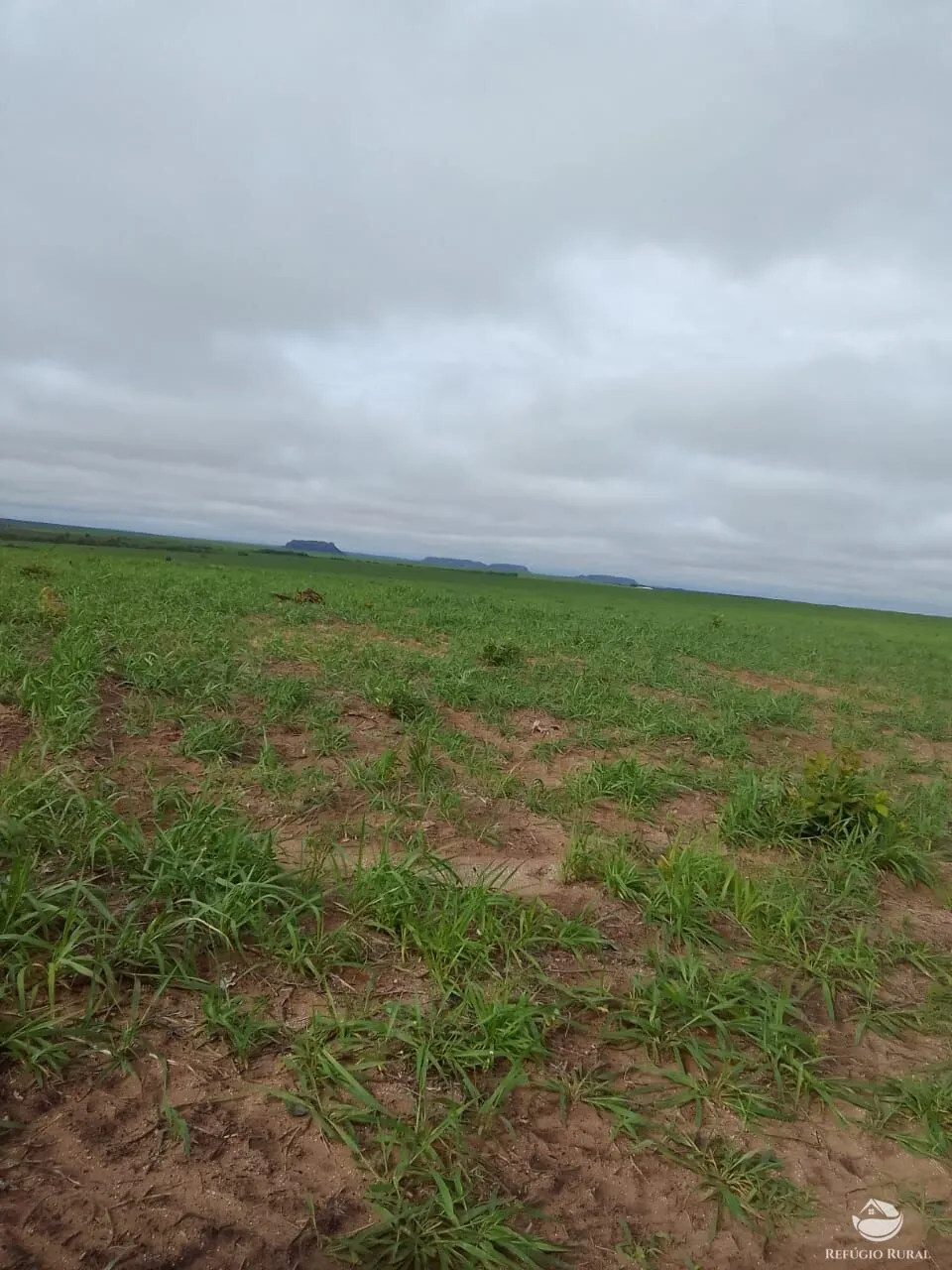 Fazenda à venda de 7.800 ha em Centenário, TO, Brasil