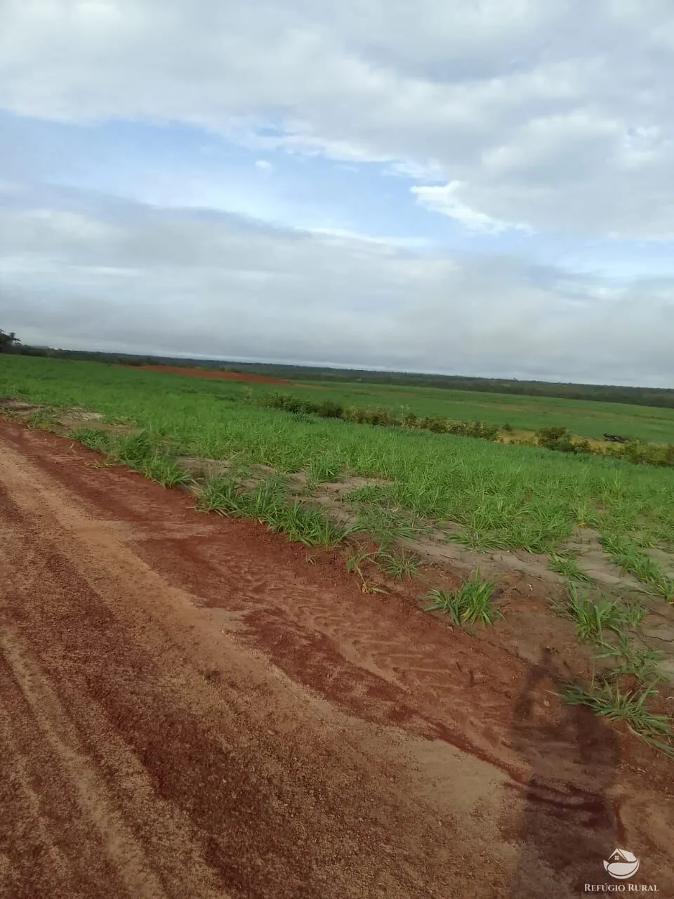 Fazenda à venda de 7.800 ha em Centenário, TO, Brasil