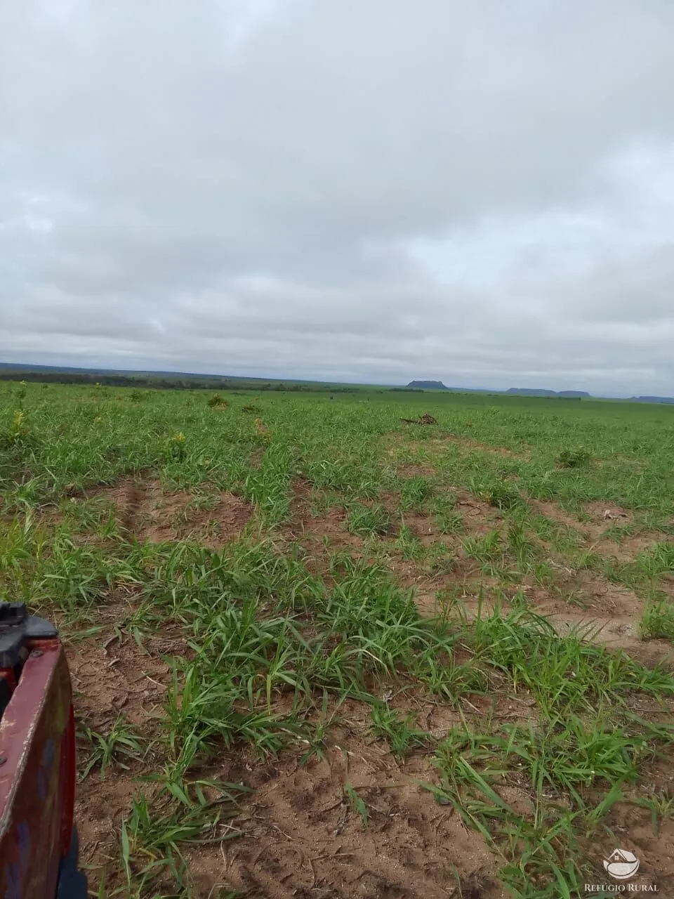 Fazenda à venda de 7.800 ha em Centenário, TO, Brasil