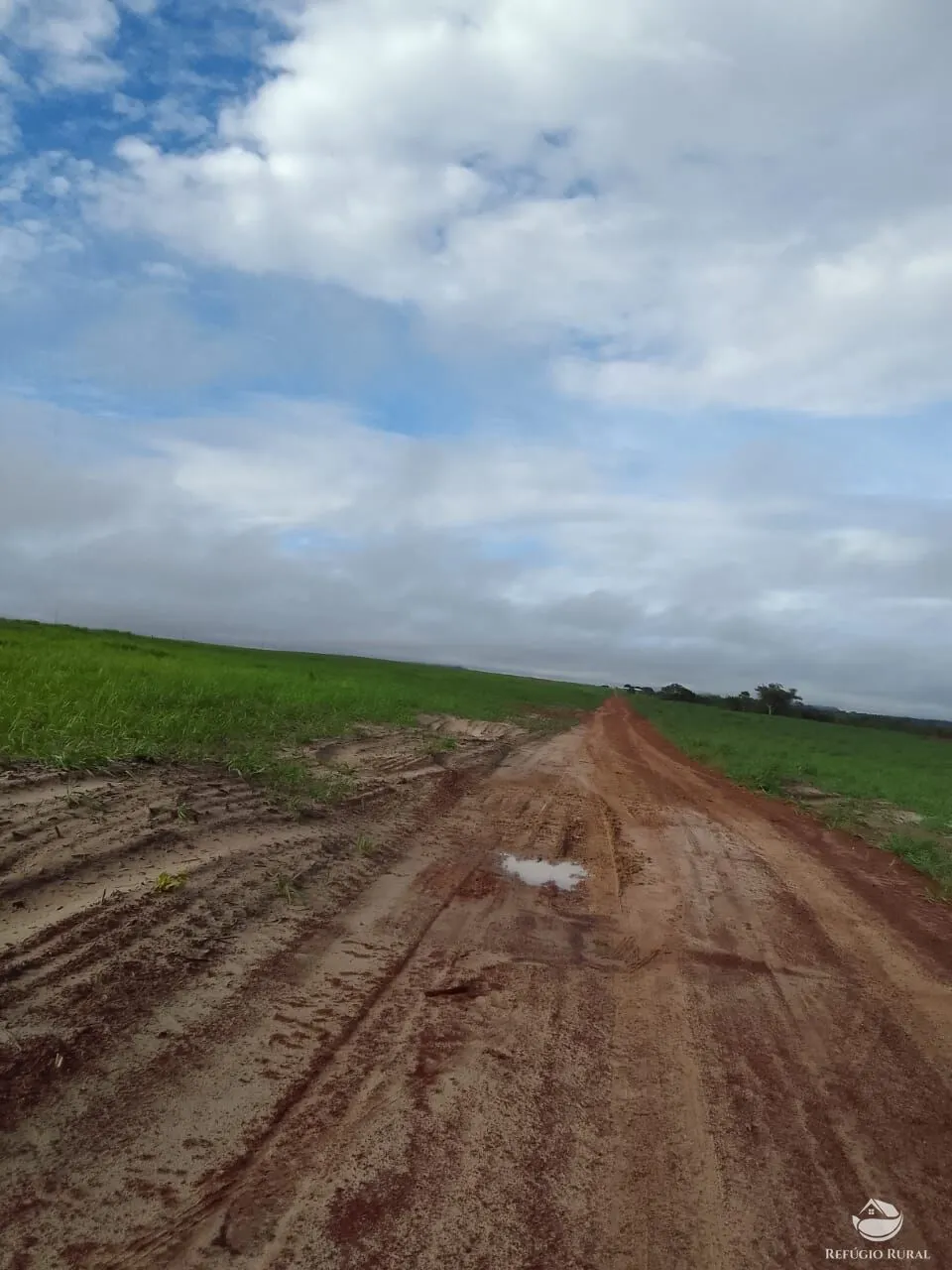 Fazenda à venda de 7.800 ha em Centenário, TO, Brasil