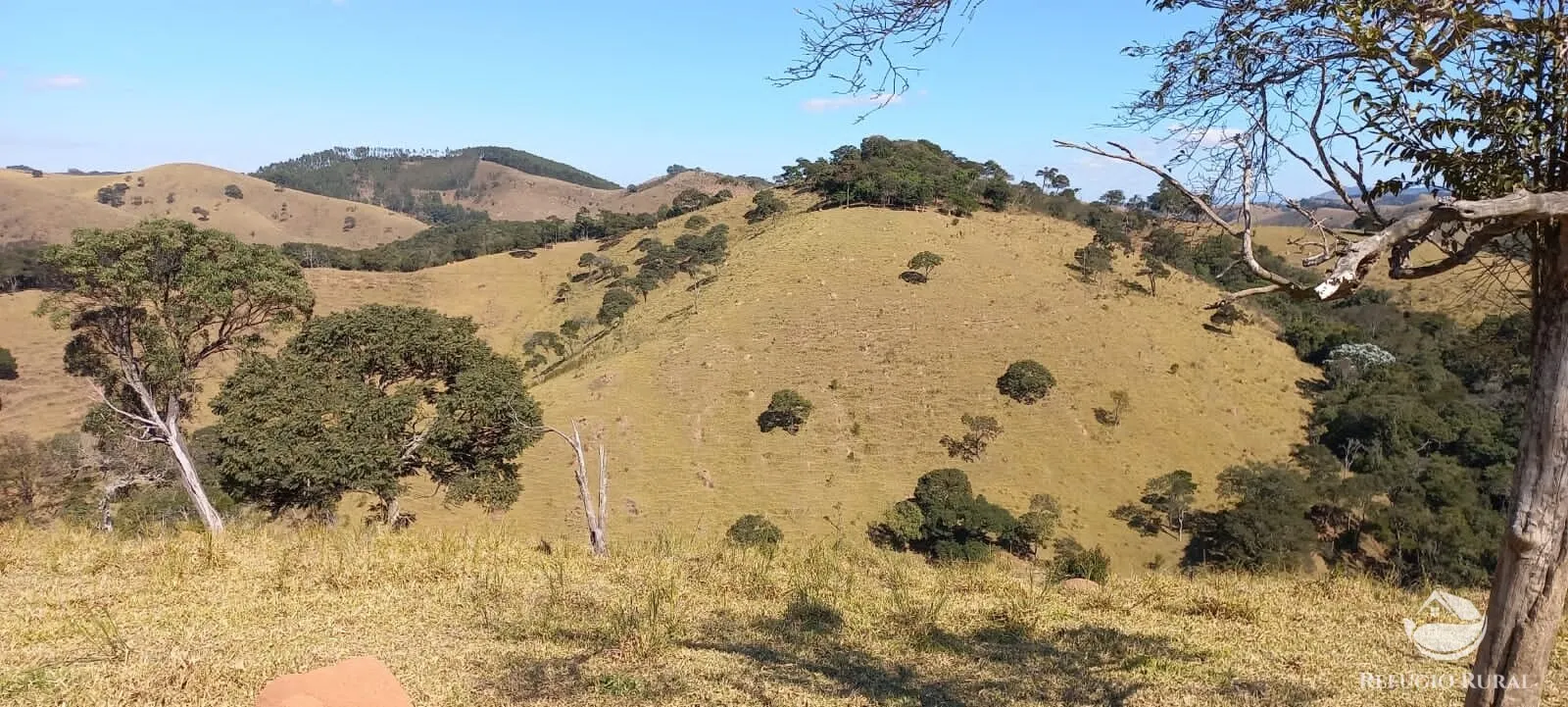 Sítio à venda de 91 ha em Silveiras, SP, Brasil