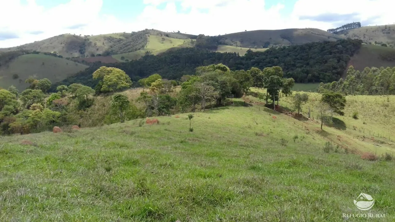 Sítio à venda de 91 ha em Silveiras, SP, Brasil