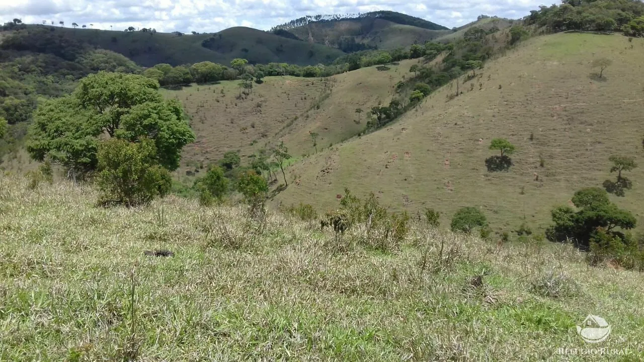 Sítio à venda de 91 ha em Silveiras, SP, Brasil