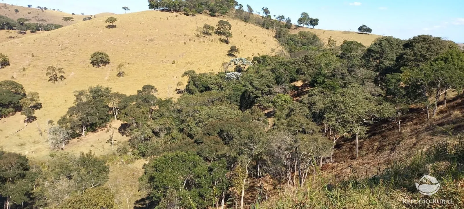 Sítio à venda de 91 ha em Silveiras, SP, Brasil