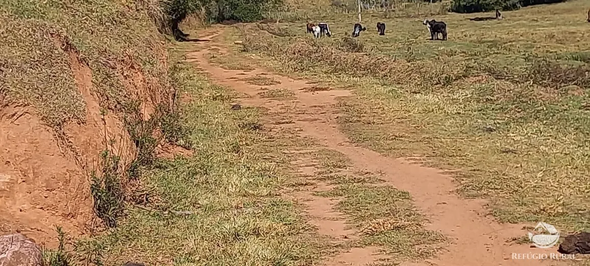 Sítio à venda de 91 ha em Silveiras, SP, Brasil