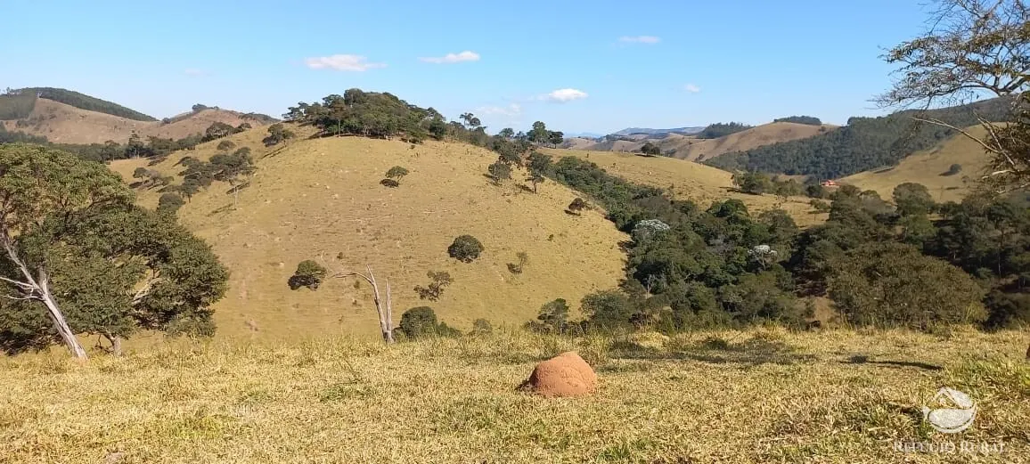 Sítio à venda de 91 ha em Silveiras, SP, Brasil