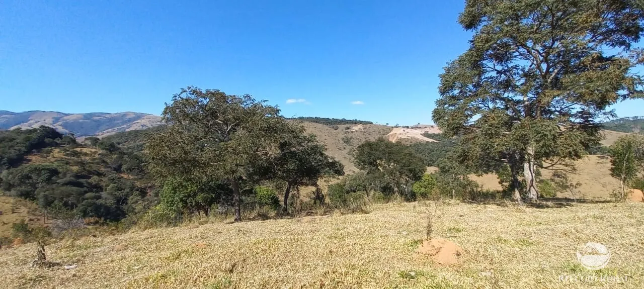 Sítio à venda de 91 ha em Silveiras, SP, Brasil