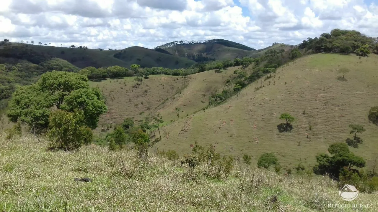 Sítio à venda de 91 ha em Silveiras, SP, Brasil
