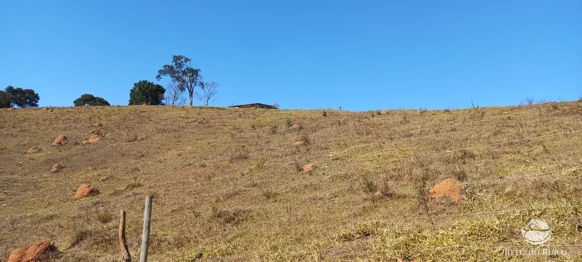 Sítio à venda de 91 ha em Silveiras, SP, Brasil