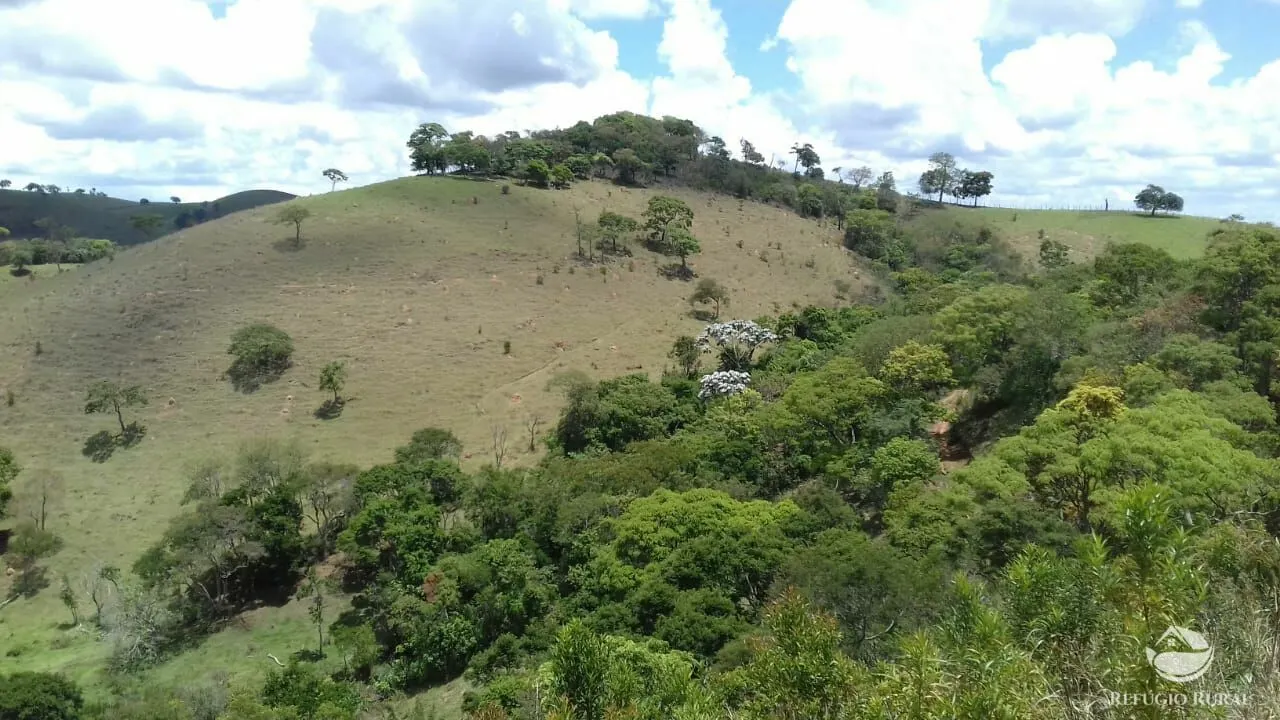 Sítio à venda de 91 ha em Silveiras, SP, Brasil