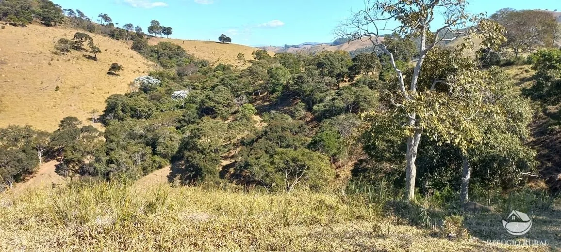 Sítio à venda de 91 ha em Silveiras, SP, Brasil