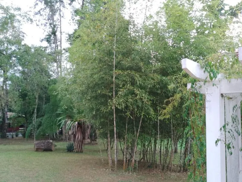 Country home for sale of 6 acres in São Lourenço da Serra, SP, Brazil
