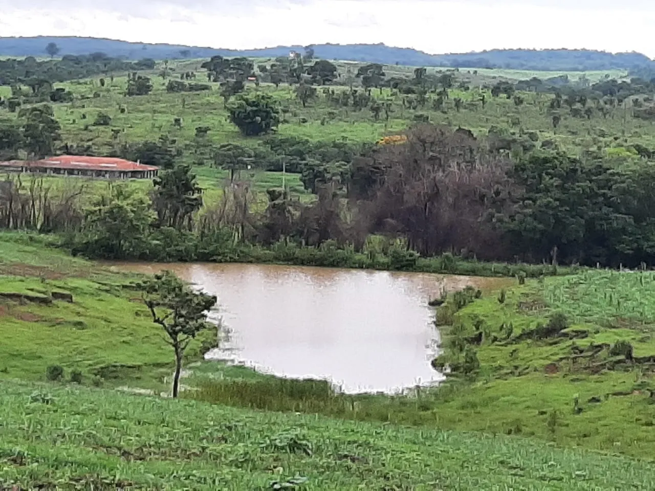 Small farm for sale of 39 acres in Quadra, SP, Brazil
