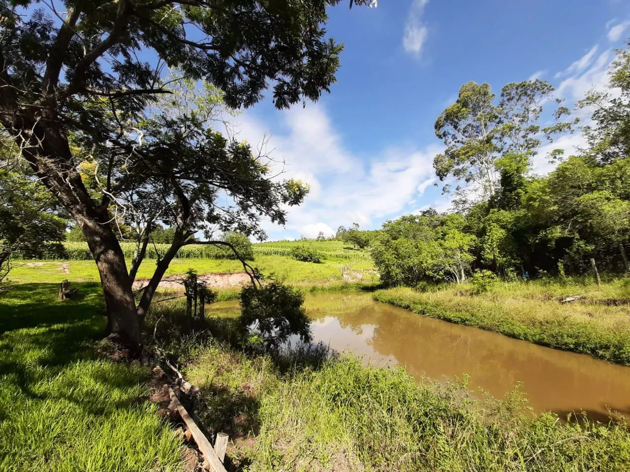 Small farm for sale of 39 acres in Quadra, SP, Brazil