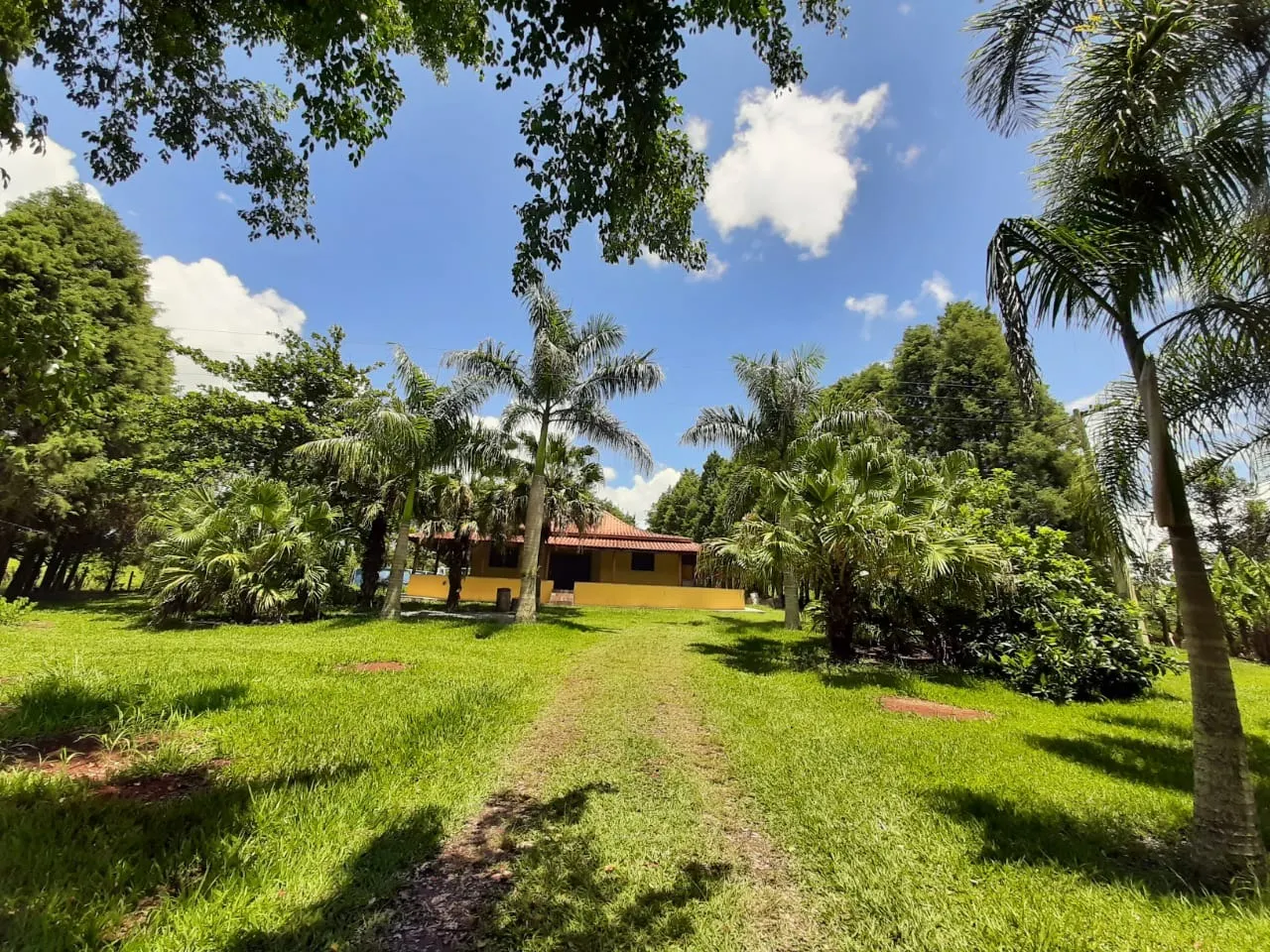 Small farm for sale of 39 acres in Quadra, SP, Brazil