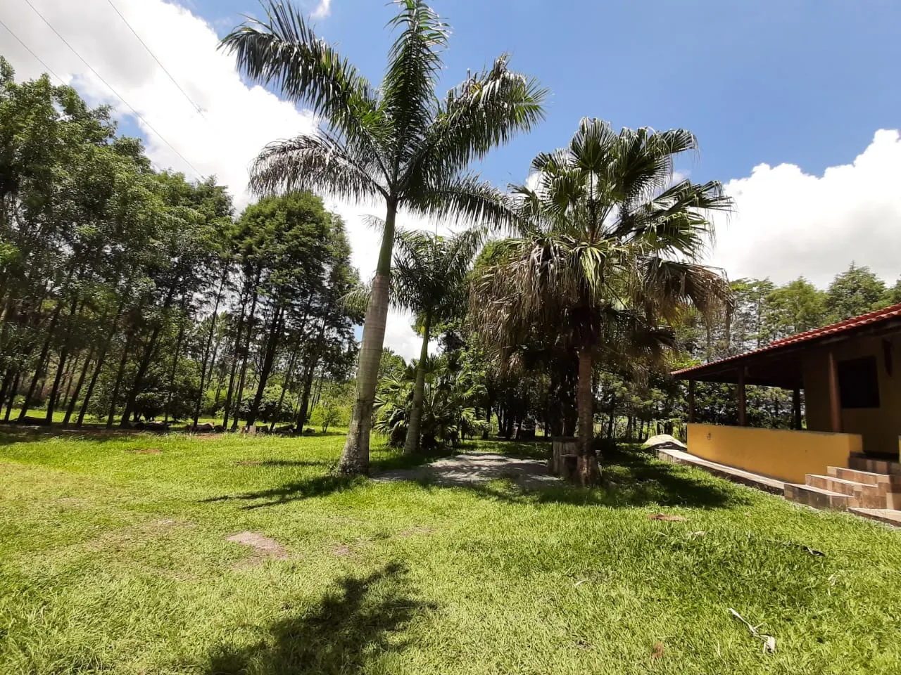Small farm for sale of 39 acres in Quadra, SP, Brazil