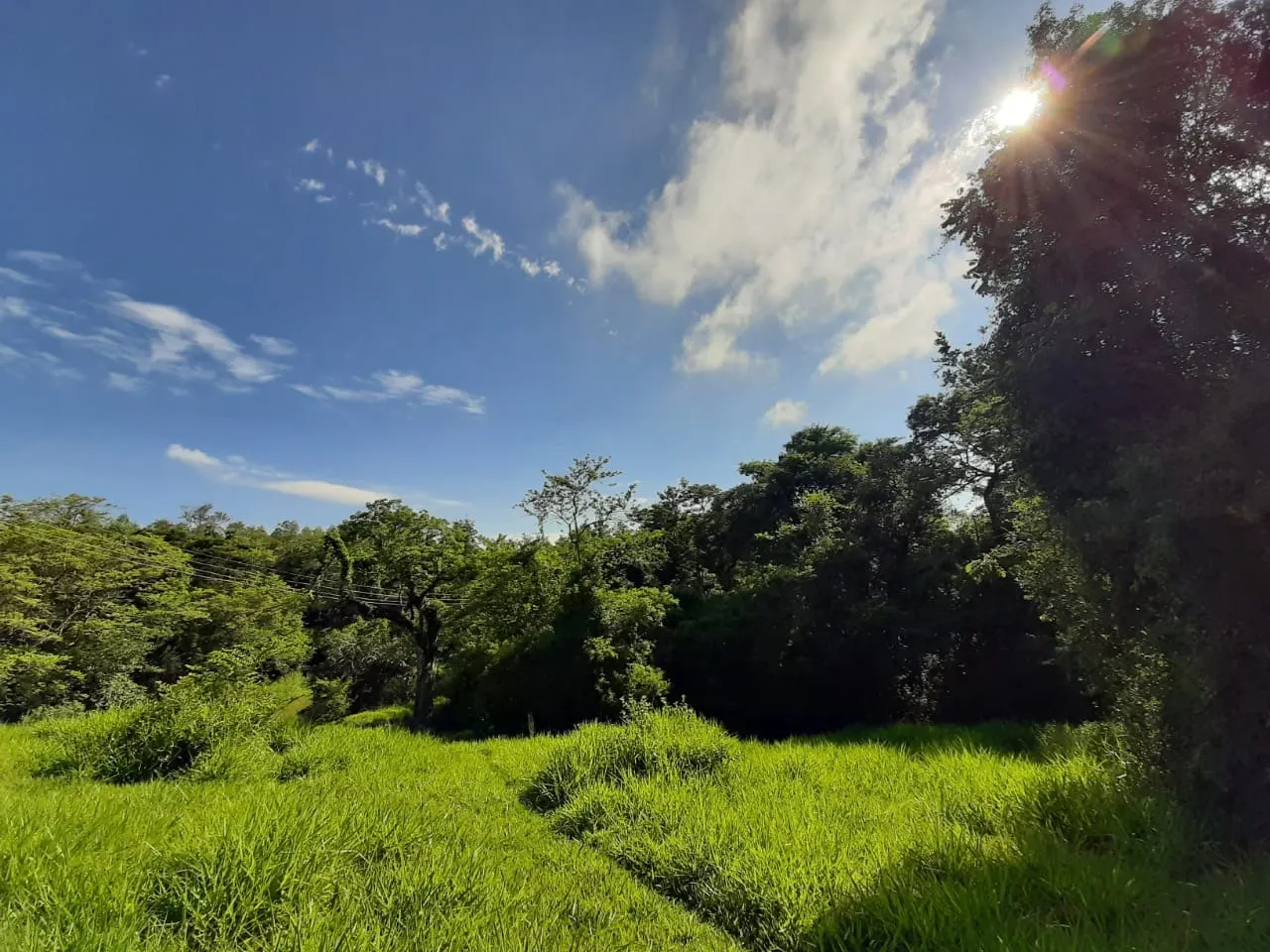 Small farm for sale of 39 acres in Quadra, SP, Brazil