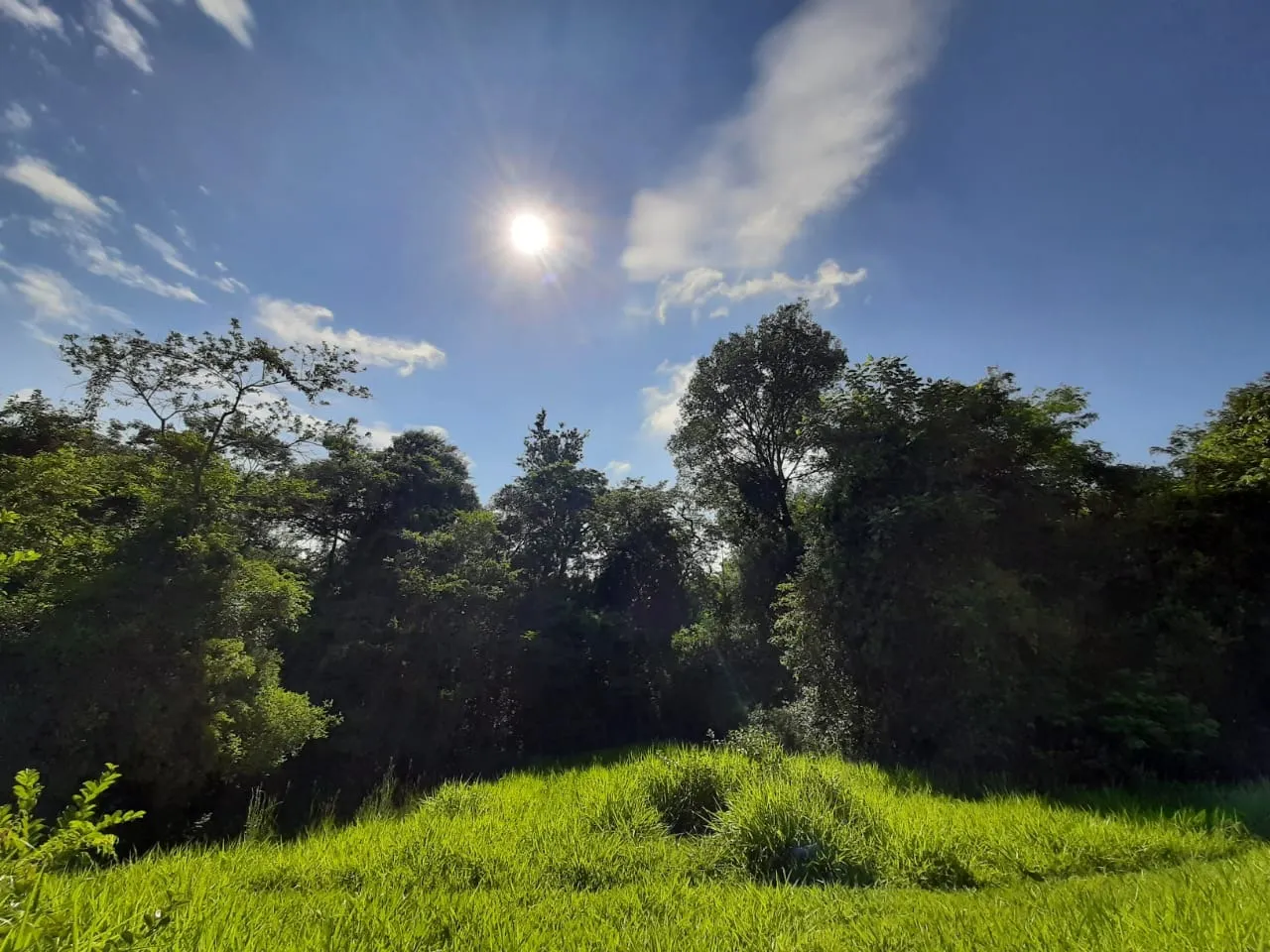 Small farm for sale of 39 acres in Quadra, SP, Brazil