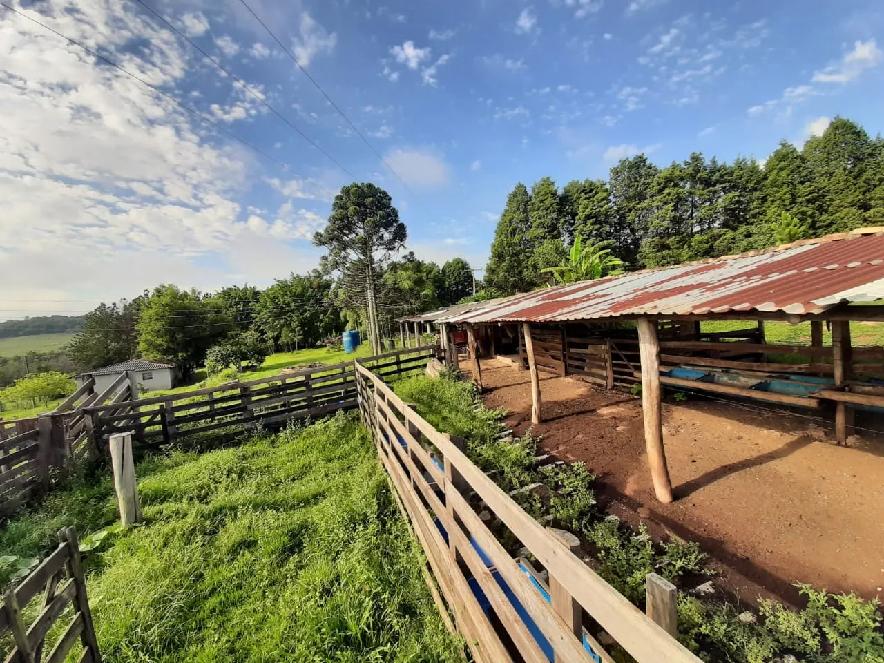 Small farm for sale of 39 acres in Quadra, SP, Brazil