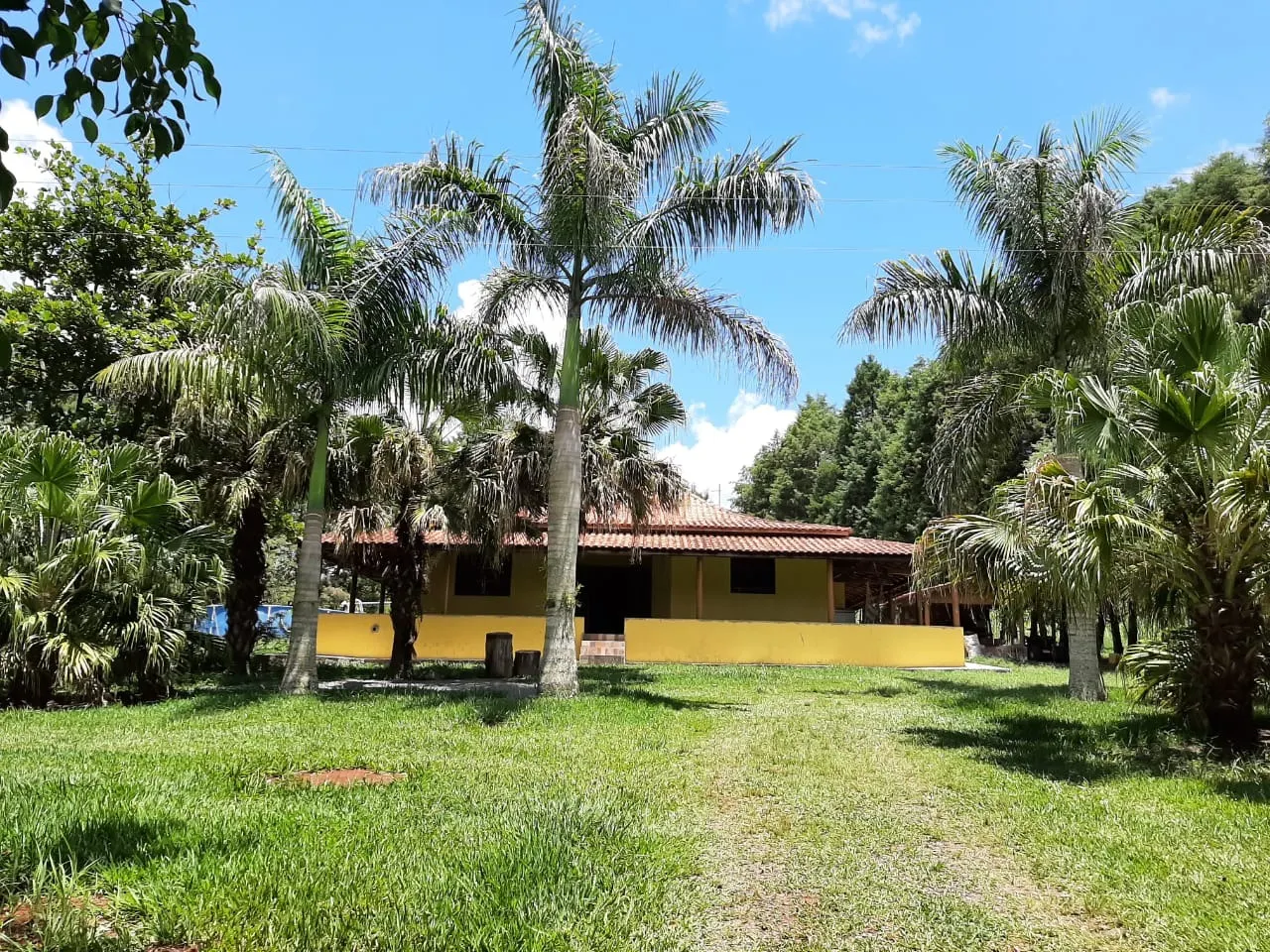 Small farm for sale of 39 acres in Quadra, SP, Brazil