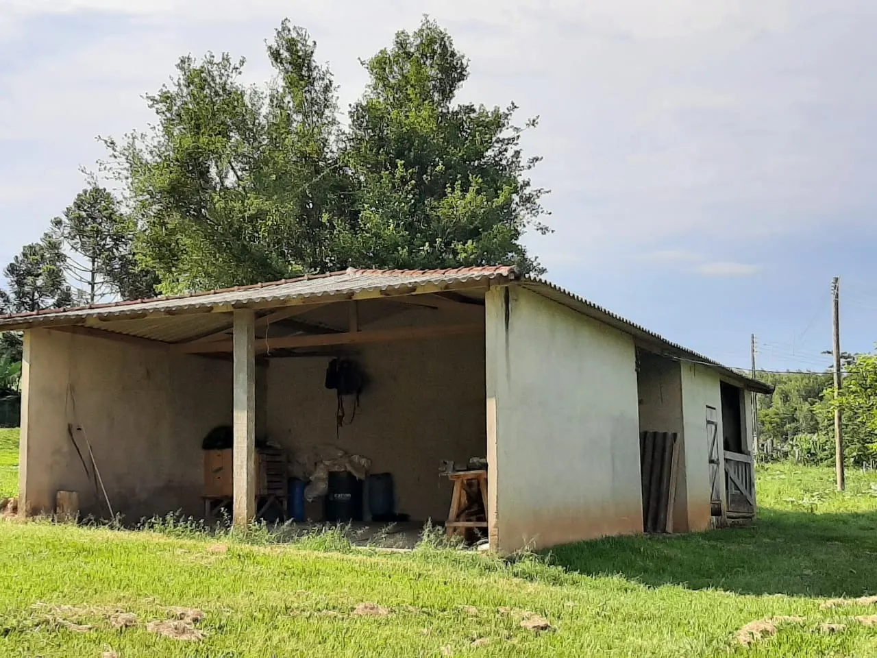 Small farm for sale of 39 acres in Quadra, SP, Brazil