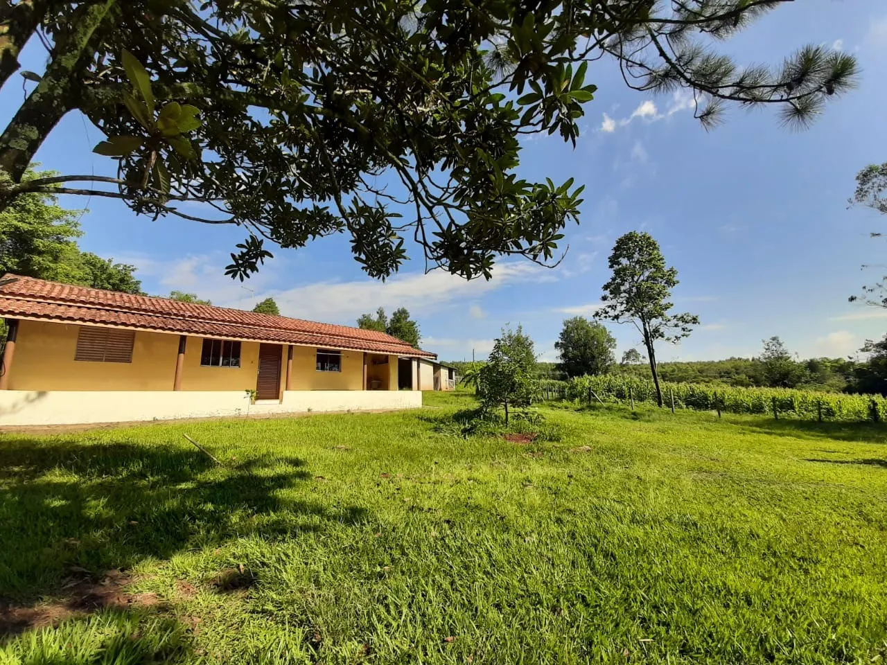 Small farm for sale of 39 acres in Quadra, SP, Brazil