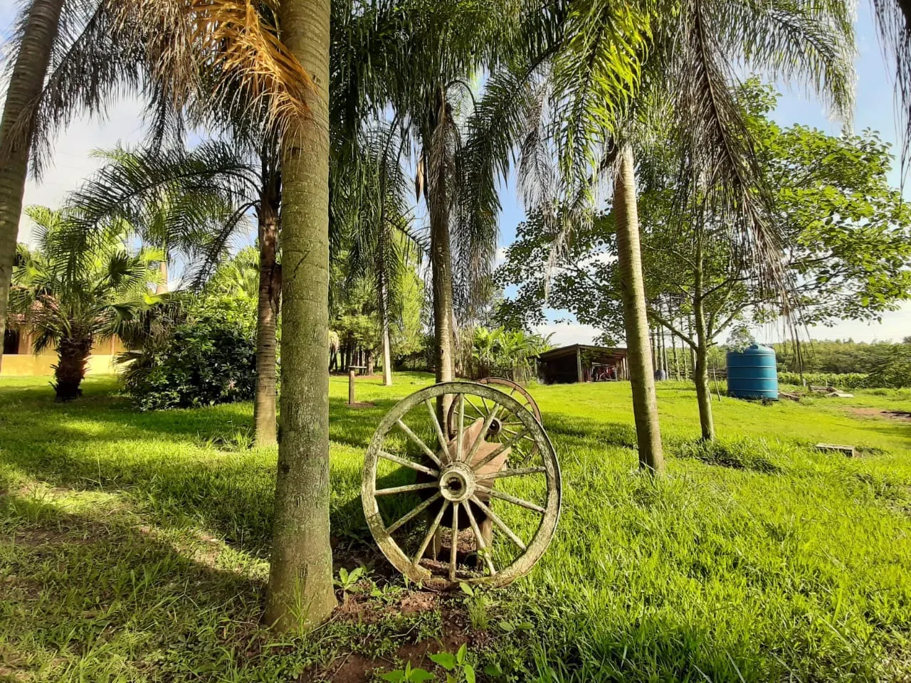Small farm for sale of 39 acres in Quadra, SP, Brazil