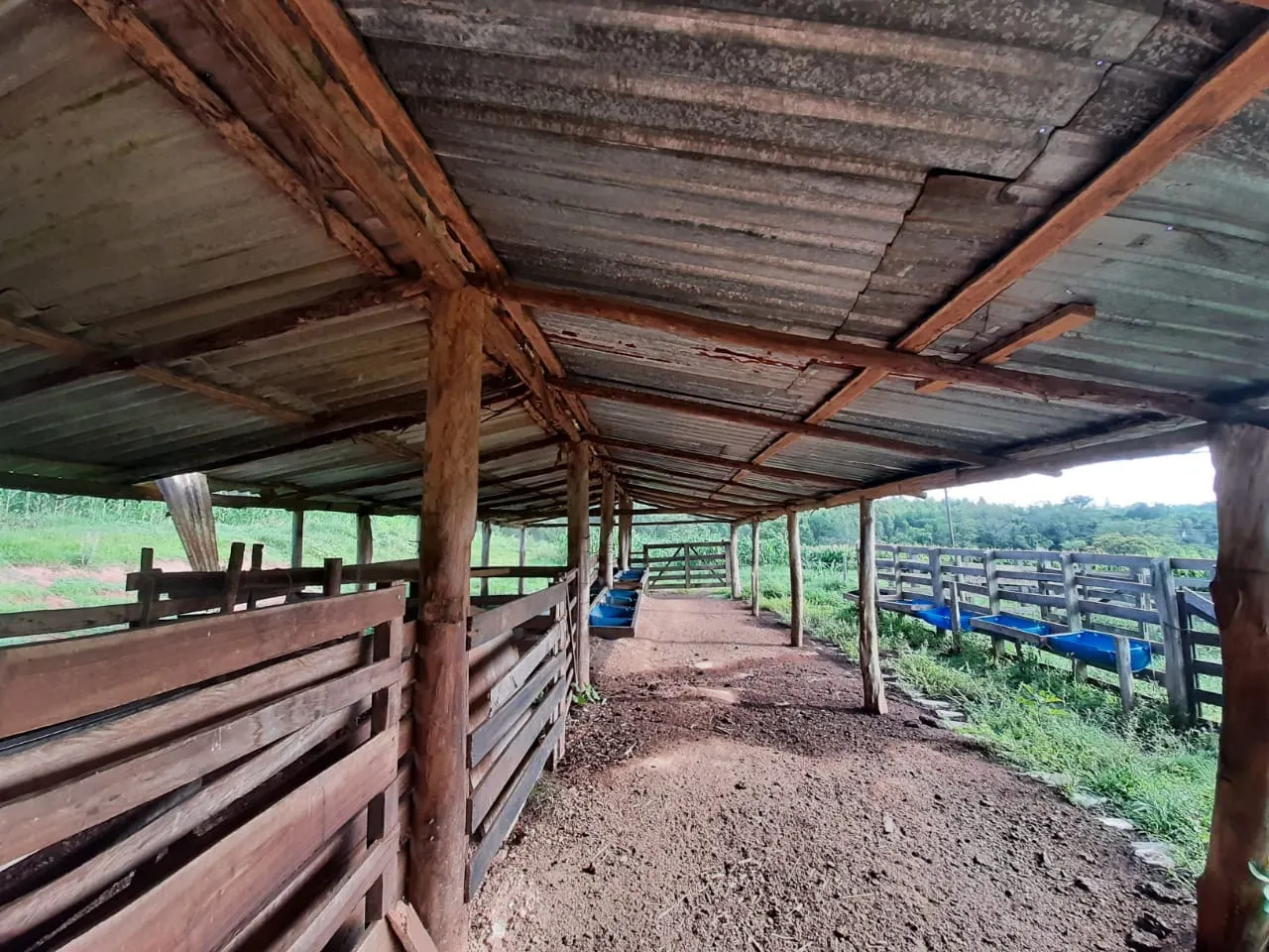 Small farm for sale of 39 acres in Quadra, SP, Brazil