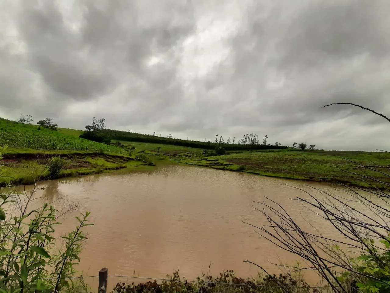 Small farm for sale of 39 acres in Quadra, SP, Brazil