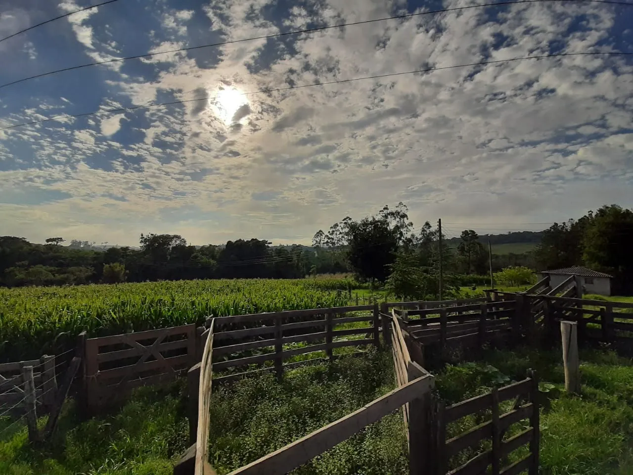Small farm for sale of 39 acres in Quadra, SP, Brazil