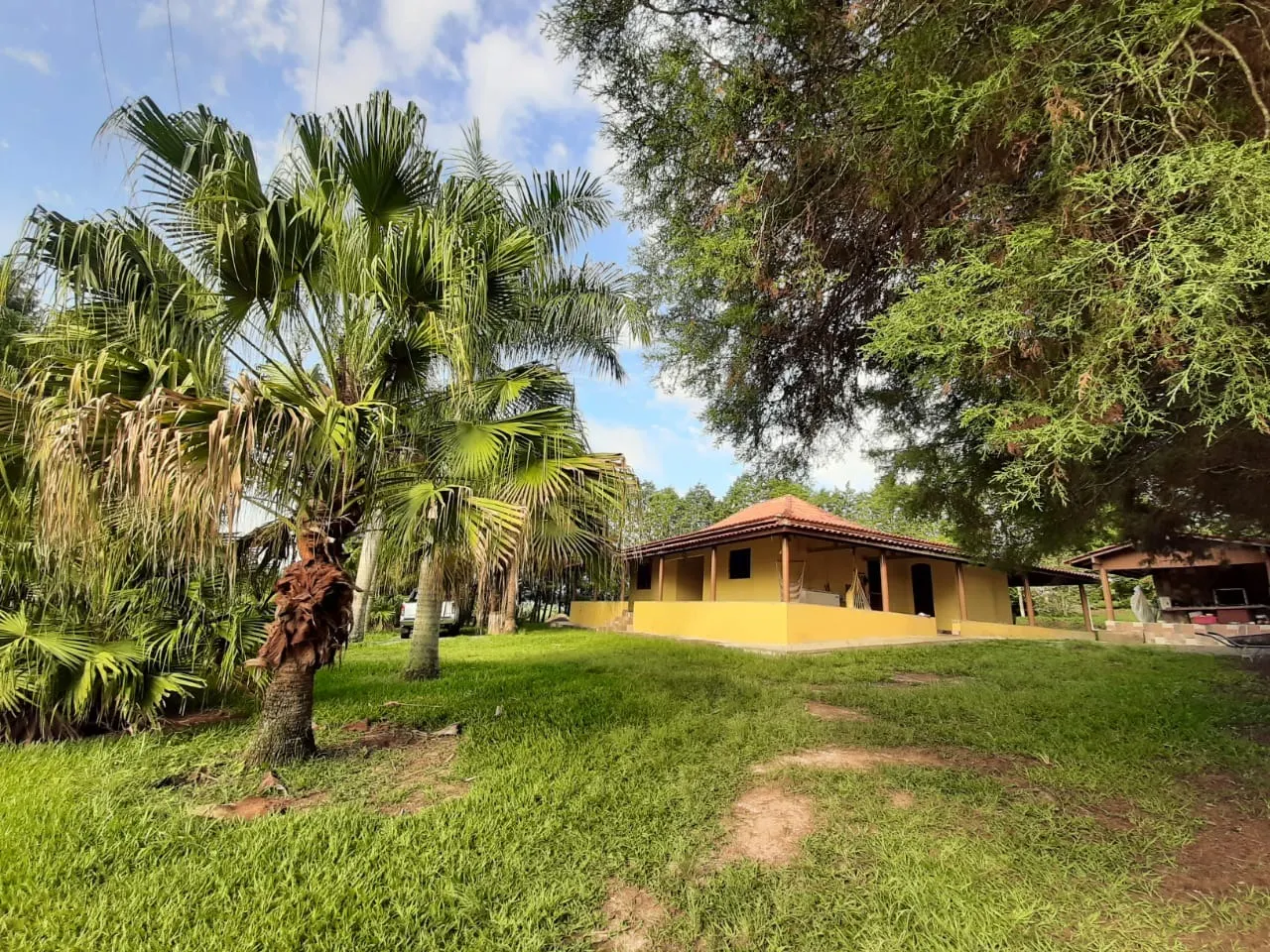 Small farm for sale of 39 acres in Quadra, SP, Brazil