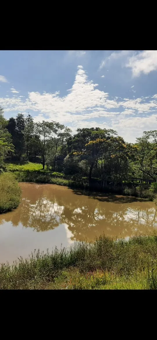 Small farm for sale of 39 acres in Quadra, SP, Brazil