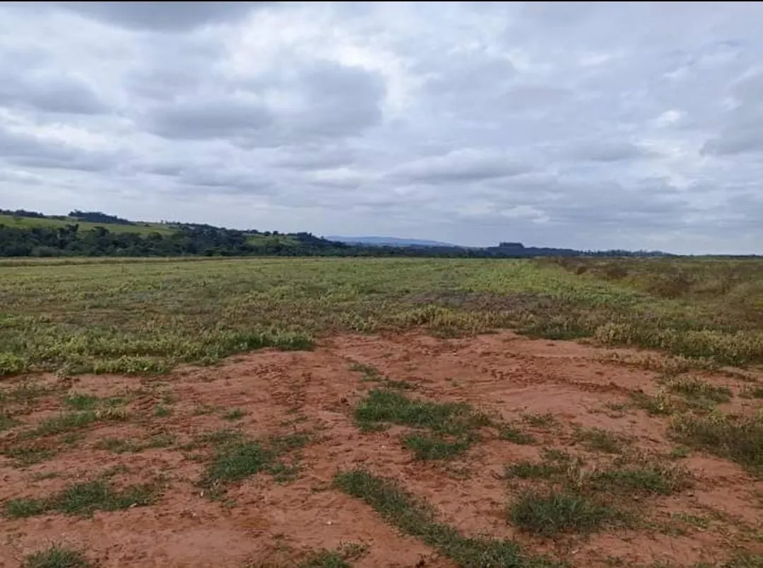 Sítio à venda de 90 ha em Itapetininga, SP, Brasil