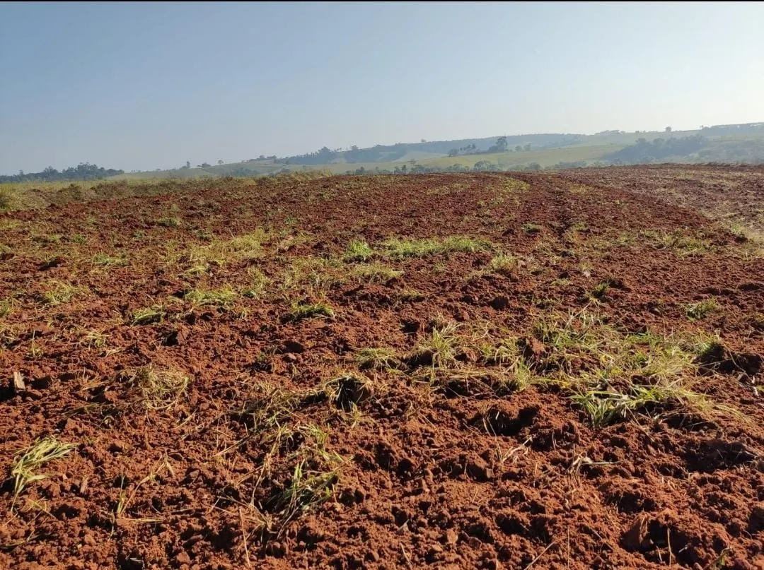 Sítio à venda de 90 ha em Itapetininga, SP, Brasil