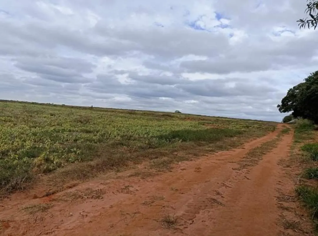 Sítio à venda de 90 ha em Itapetininga, SP, Brasil