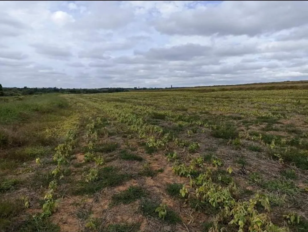 Sítio à venda de 90 ha em Itapetininga, SP, Brasil